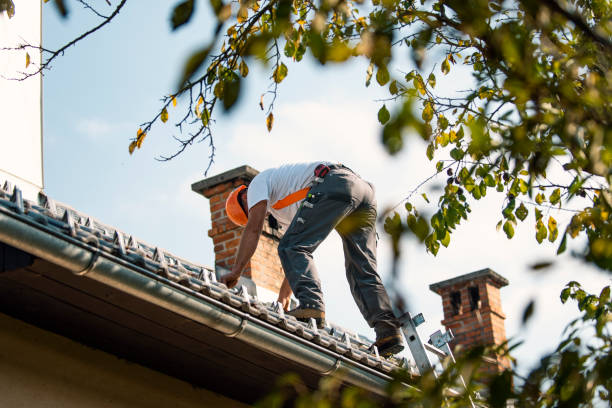Best Green or Eco-Friendly Roofing Solutions  in Brandywine Bay, NC