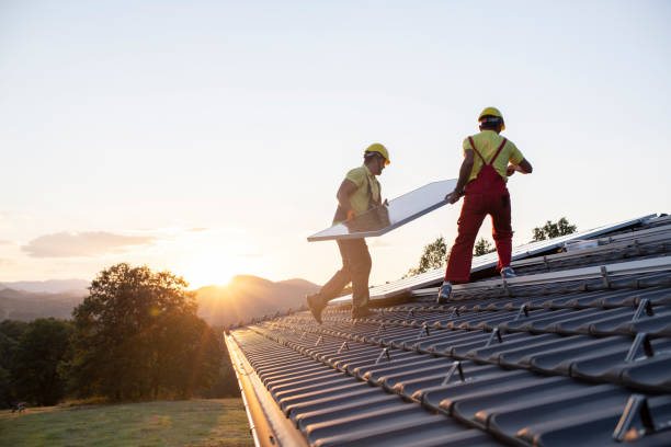 Best Roof Maintenance and Cleaning  in Brandywine Bay, NC